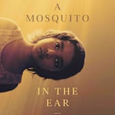 A Mosquito In The Ear