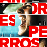 Love's a Bitch (Amores perros)