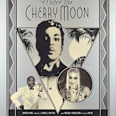 Under the Cherry Moon