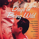 Days of Being Wild (A Fei zheng chuan)