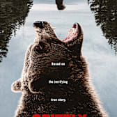 Grizzly Night