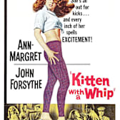Kitten With a Whip (1964)