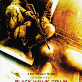 Black Hawk Down