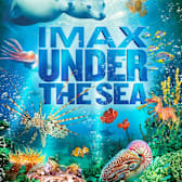 Under the Sea