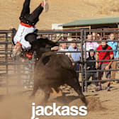 jackass forever