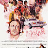 Molar