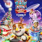 A Paw Patrol Christmas