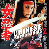 The Challenge of the Lady Ninja
