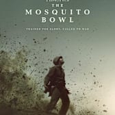 The Mosquito Bowl