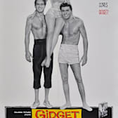 Gidget