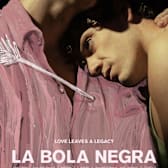 La bola negra