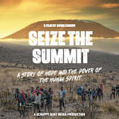 Seize the Summit