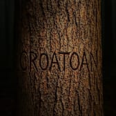 The Town That Takes