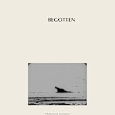 Begotten