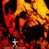 Book of Shadows: Blair Witch 2