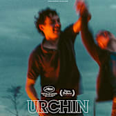 Urchin