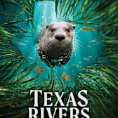 Deep in the Heart II: Texas Rivers