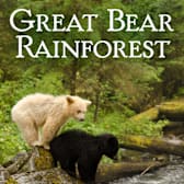 Great Bear Rainforest (2019-II)
