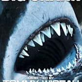 Big Shark