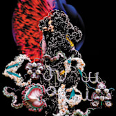 Björk: Cornucopia