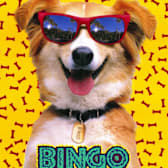 Bingo (1991)