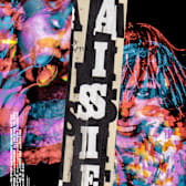 Daisies (Sedmikrasky)