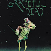 The Grateful Dead Movie