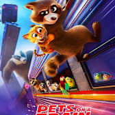 Pets on a Train