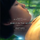 Sheep In The Box