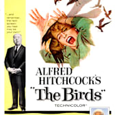 The Birds
