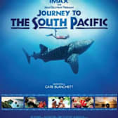 Journey to the South Pacific