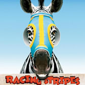 Racing Stripes