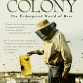 Colony