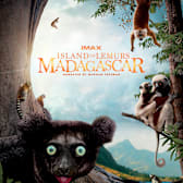 Island of Lemurs: Madagascar