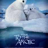 To The Arctic