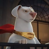 DC League of Super-Pets