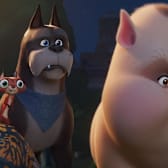 DC League of Super-Pets