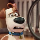 The Secret Life of Pets
