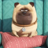The Secret Life of Pets