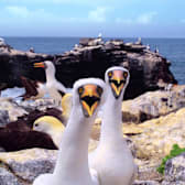 Galapagos: Nature's Wonderland