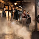 Fantastic Beasts and Where to Find Them
