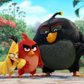 The Angry Birds Movie