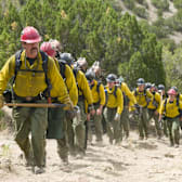 Only The Brave