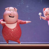 Sing