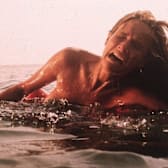 Jaws