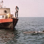 Jaws