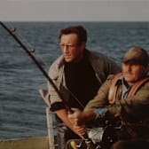 Jaws