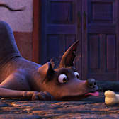Coco