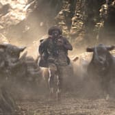 Jumanji: Welcome to the Jungle