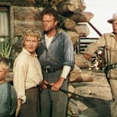Shane (1953)
